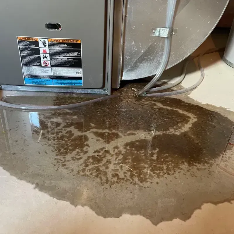 Appliance Leak Cleanup in Cannon County, TN